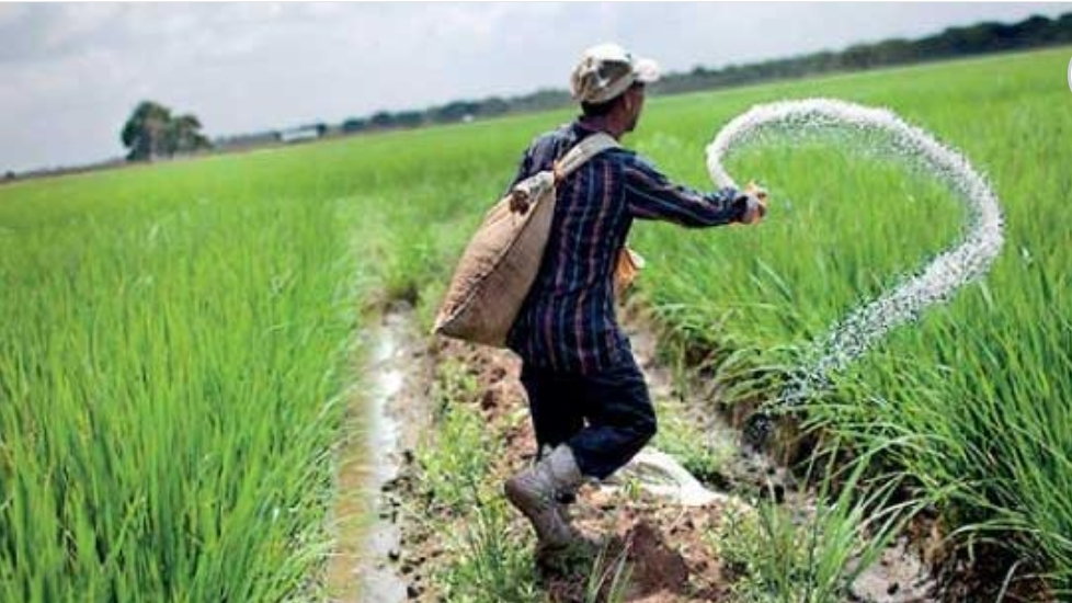 யூரியா உரத்தின் விலையை குறைப்பதற்கு நடவடிக்கை!