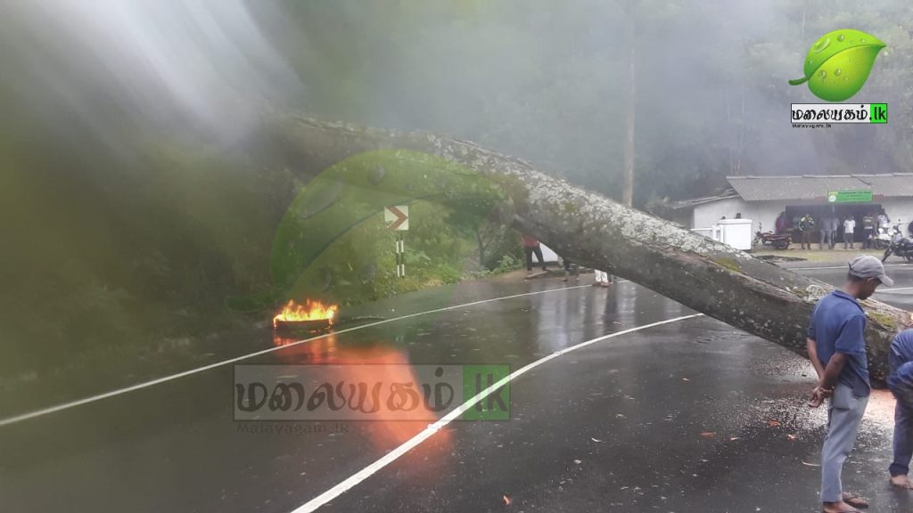 லிந்துலை – மட்டுக்க்கலை பிரதேச வீதியின் குறுக்கே பாரிய மரம் முறிந்து வீழ்ந்துள்ளது.