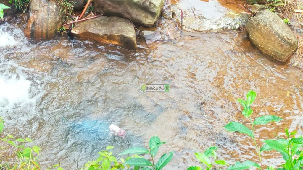 நோர்வூட் பொலிஸ் பிரிவில் சிசுவின் சடலம் மீட்பு!