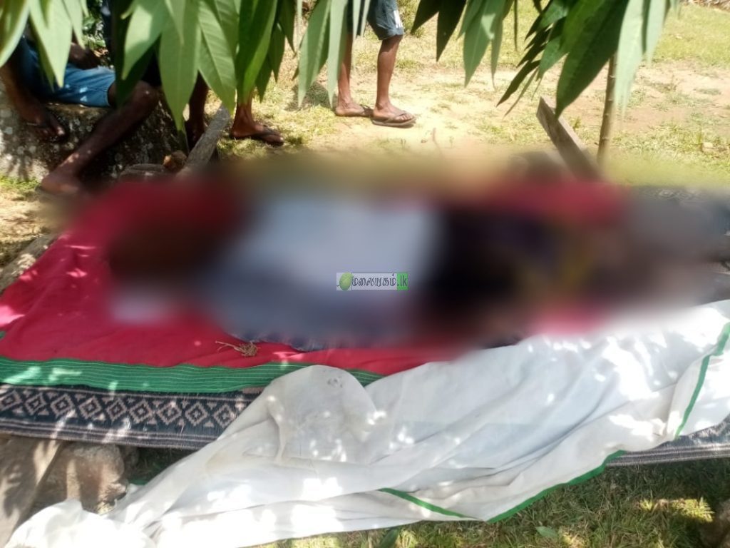 பசறை – வீதியில் ஒருவர் உயிரிழப்பு.