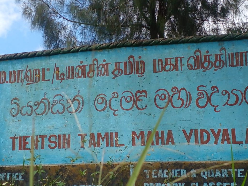 மமா/அவ/டியன்சின் த.ம.வி சா/த பரீட்சைக்குத் தோற்றிய 32 மாணவர்களில்31மாணவர்கள்