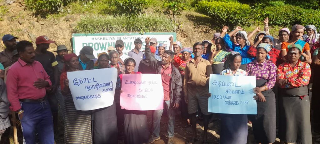 மஸ்கெலியா – புரவுன்லோ தோட்டத்தொழிலாளர்கள் கவனயீர்ப்பு ஆர்ப்பாட்டத்தில்!