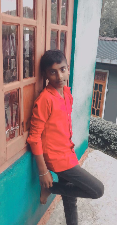 நோர்வூட் – நியூட்டன் தோட்டத்தில் மரக்கிளை முறிந்து வீழ்ந்ததால் 14 வயது சிறுவன் மரணம்.
