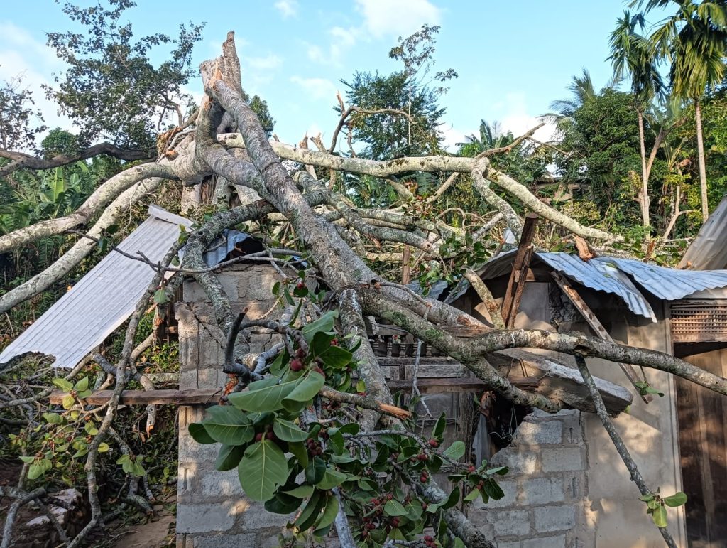 பசறை, 4 ம் கட்டை பகுதியில் வீடொன்றின் மீது பாரிய மரம் ஒன்று முறிந்து விழுந்ததில் வீடு முற்றாக சேதம்