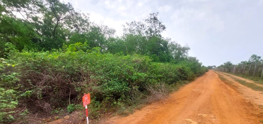 யாழ்ப்பாணம் தெல்லிப்பளை ஒட்டகப்புலத்தில் விடுவிக்கப்பட்ட காணிகளுக்குள் பொதுமக்கள் பிரவேசிக்க தற்காலிக தடை