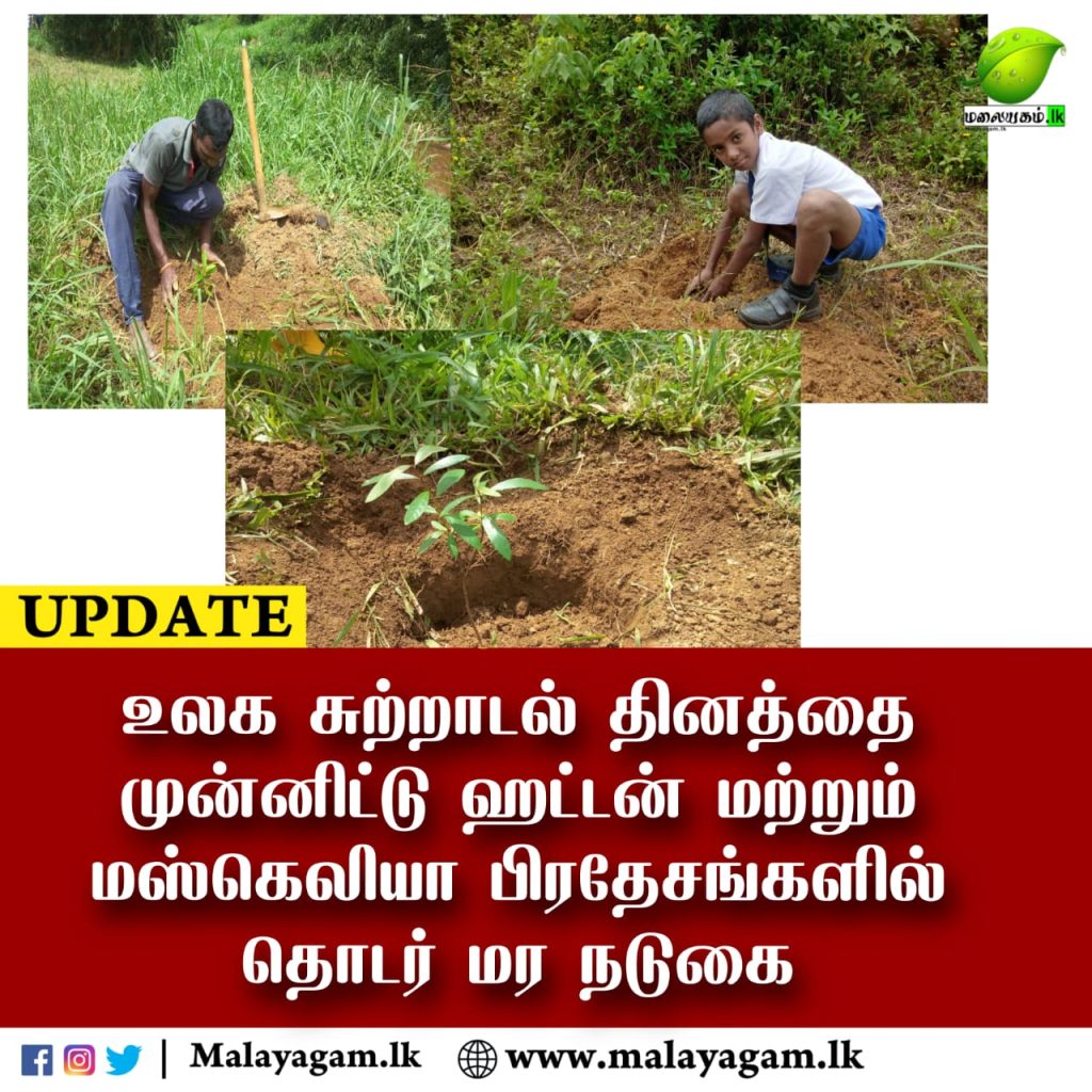 உலக சுற்றாடல் தினத்தை முன்னிட்டு ஹட்டன் மற்றும் மஸ்கெலியா பிரதேசங்களில் தொடர் மர நடுகை