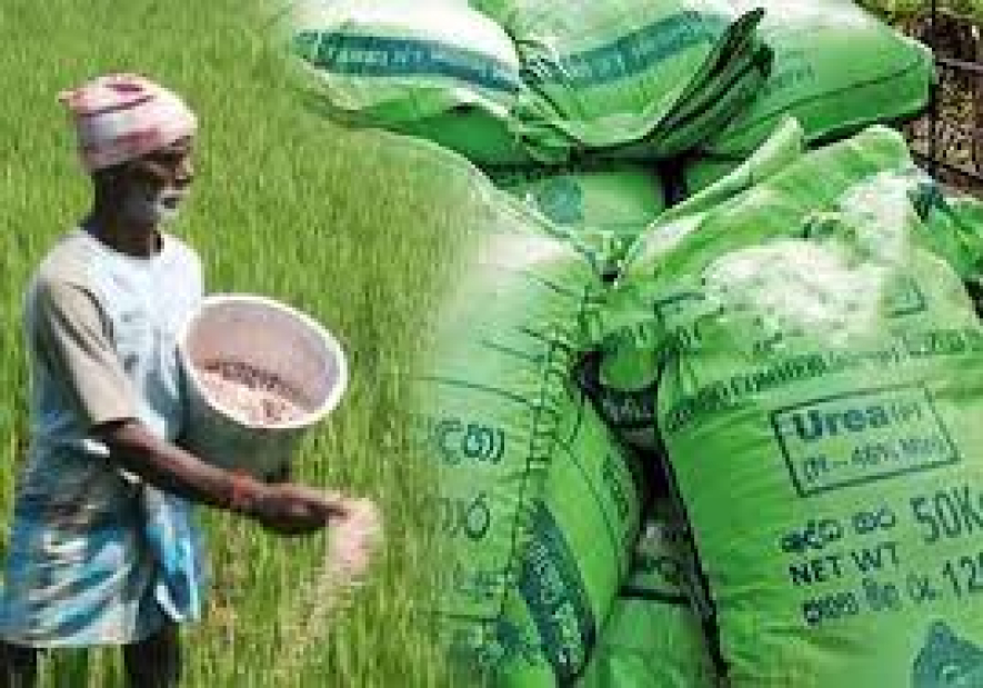 உர மானியம் குறித்து அச்சம் வேண்டாம் – கமநல அபிவிருத்தி ஆணையர் நாயகம்