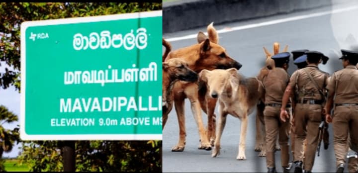 மாவடிப்பள்ளியில் தொடர்ச்சியாக நடந்தேறும் களவு சம்பவம் கள்வர்களை தேடும் பணி தீவிரம்..!