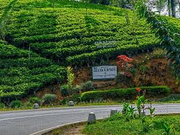 புசல்லாவ, டெல்டா தோட்டத்தில் வாயு கசிவு காரணமாக 30 பேர் வைத்தியசாலையில்