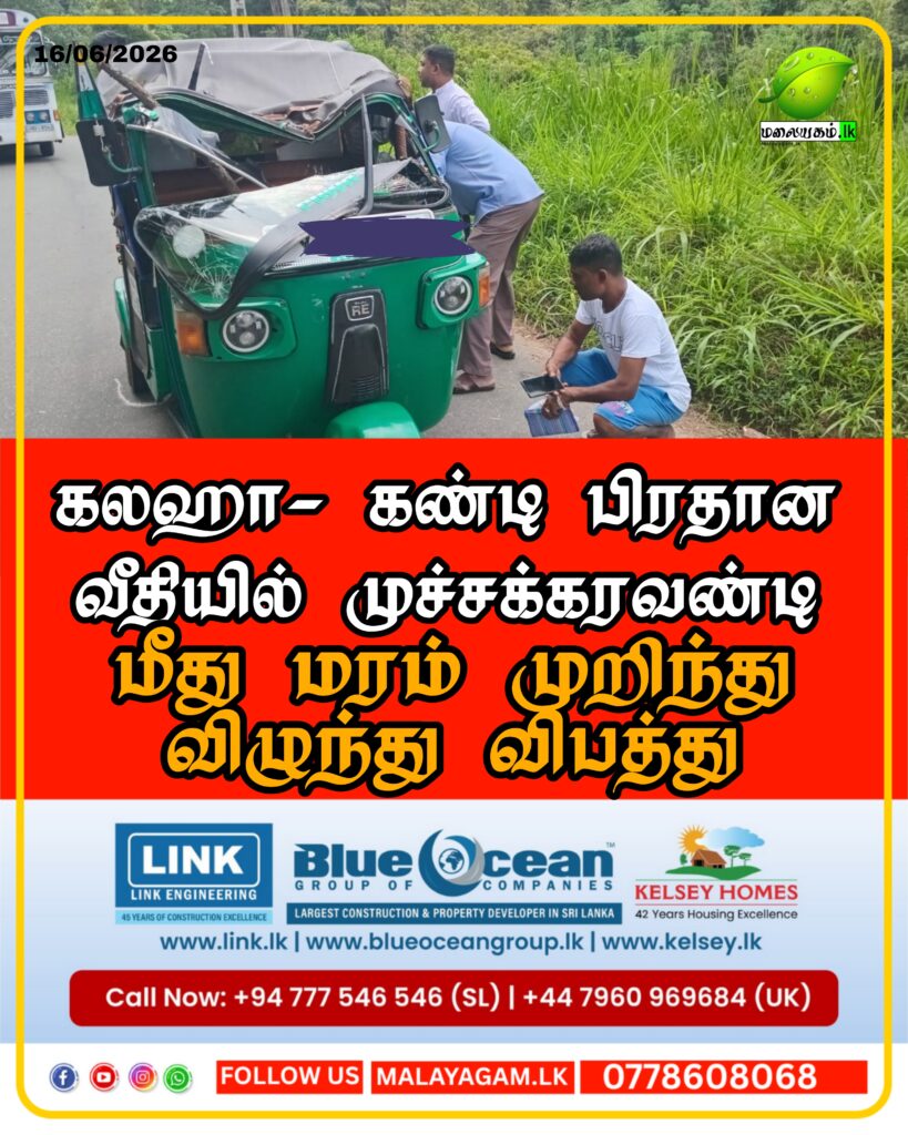 கலஹாவில் முச்சக்கர வண்டி மீது மரம் முறிந்து விழுந்து விபத்து